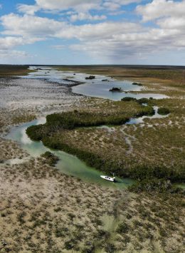 created by dji camera created by dji camera